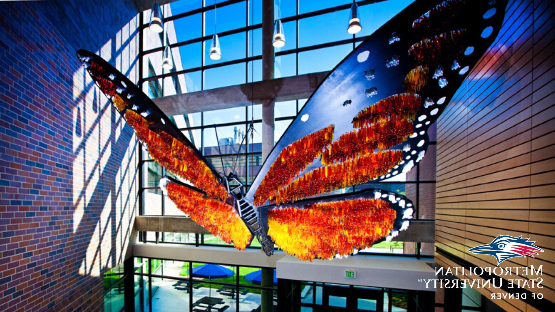 丹佛密歇根州立大学科学楼的蝴蝶艺术作品