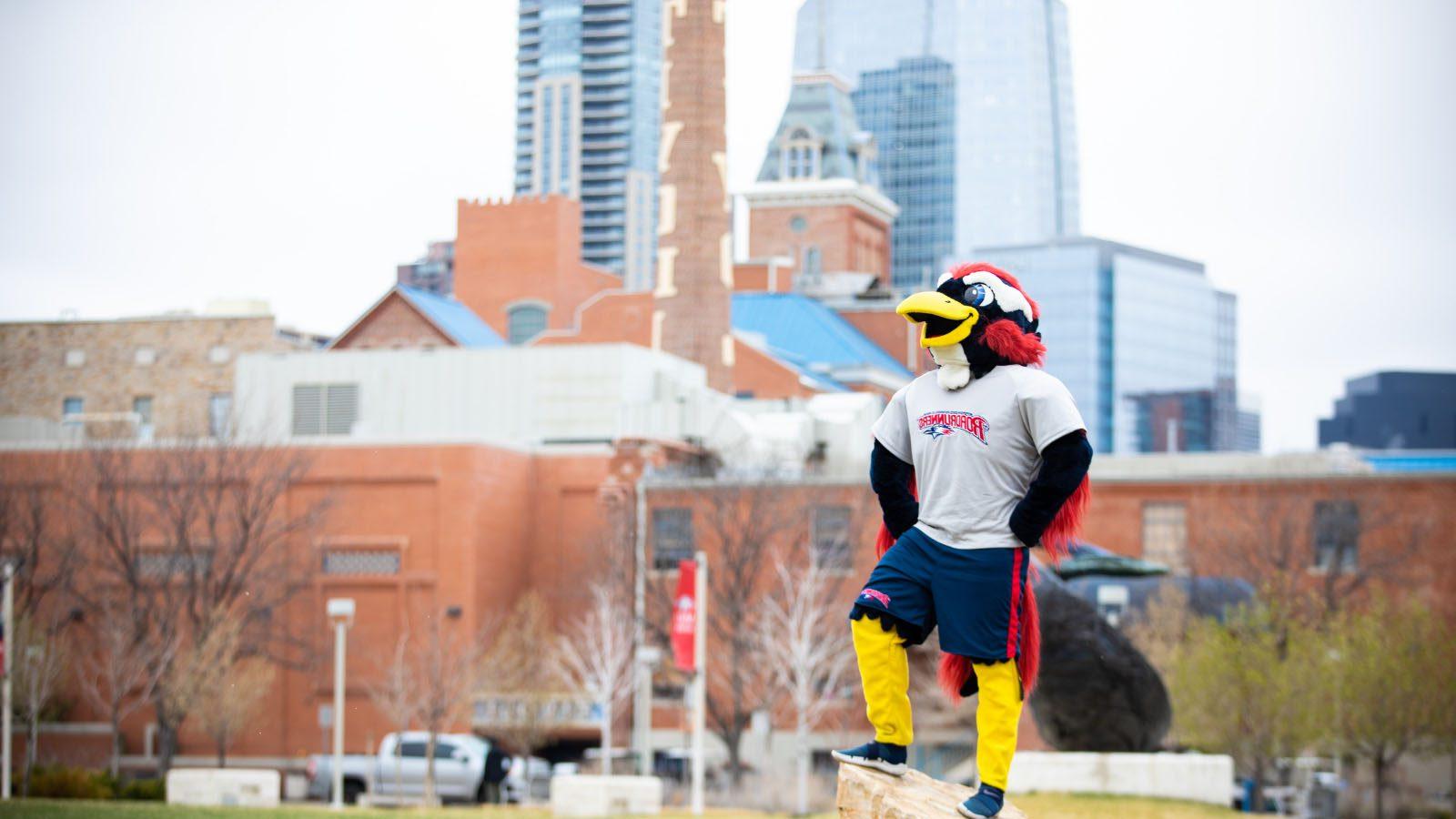 MSU Denver mascot Rowdy posing in front of Tivoli.